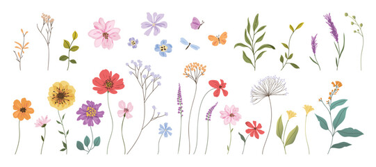 Collection of floral and botanical elements. Set of leaf, foliage wildflowers, plants, bloom, leaves and herb. Hand drawn of blossom spring season vectors for decor, website, wedding card and shop.