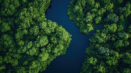 Naklejka premium Environmental Policy - Environmental policy initiatives focusing on legislative measures, regulations, and government actions to promote sustainability and protect the environment. 