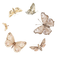 Fototapeta premium Butterflies Monarch and other flying on white background. Set of delicate cute beige brown butterflies. Hand drawn watercolor illustration on isolated white background. Template for print or frame.