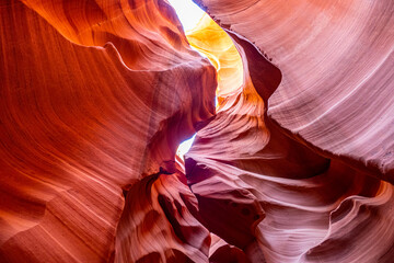 Obraz premium Lower Antelope Canyon natural sandstone rock formation, Page Arizona USA