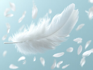 Obraz premium Soft white feather drifting through light blue background