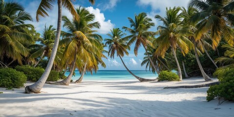 Tropical Palm Trees Framing An Exotic White Sandy Beach Under Clear Blue Skies With Space For Text or Branding Elements