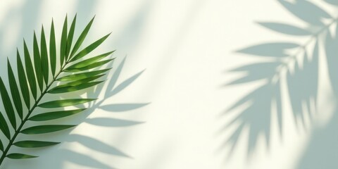 Serene Leaf and Shadow Composition on a Light Background, Ideal for Minimalist Designs and Natural Textures