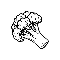 outline drawing of a fresh broccoli for coloring pages
