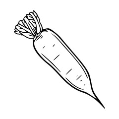 outline drawing of a fresh turnip for coloring pages
