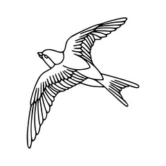 outline drawing of a flying bird