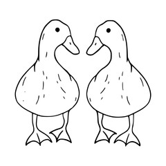 couple of ducks
