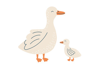 A goose and a gosling isolated on white. Farm birds. Vector hand drawn cliparts. 