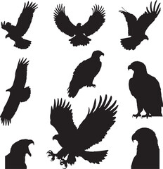 Eagle Silhouettes Vector Set - Black Flying and Perching Birds