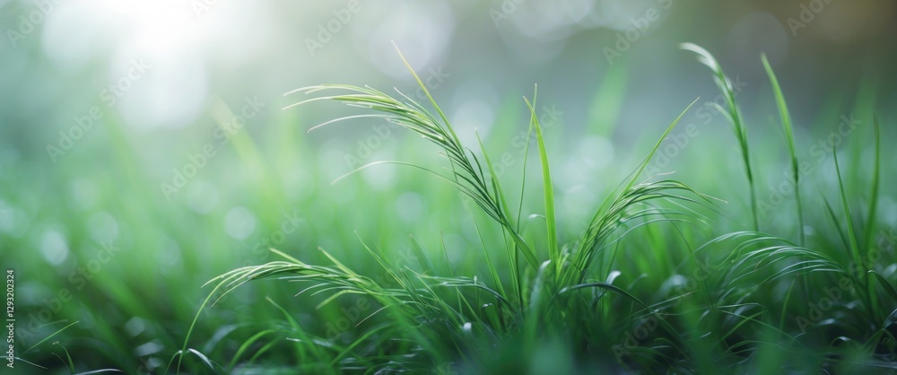 Poster vibrant green grass in soft focus creating a serene background perfect for nature articles or design