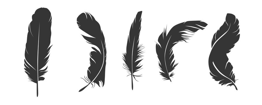Set of feather silhouette illustration