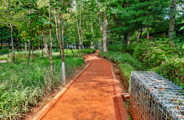 Obraz premium Yangjaecheon Yellow Soil Path