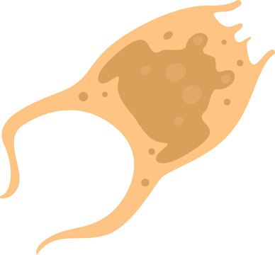 Brachionus Sea Plankton Microorganism Illustration