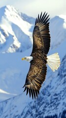 Fototapeta premium Majestic Bald Eagle Soaring Above Snowy Peaks