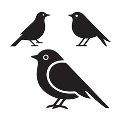 Vector birds on a branch