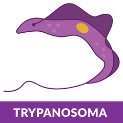 Trypanosoma Cruzi Parasite Design Illustration