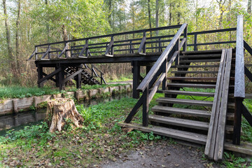 Hiking path in Spreewald, Germany