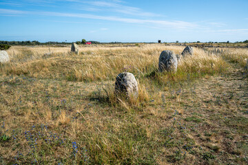 Schiffsetzung auf einer Wiese in Schweden
