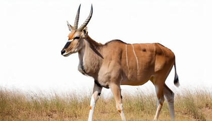 Fototapeta premium Striking Antelope against Transparent Backdrop, Majestically Poised with Grace and Vigor in a Captivating Generative Artwork.