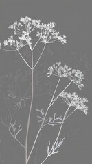 Elegant Gray and White Botanical Print - Delicate Floral Line Art for Modern Home Decor
