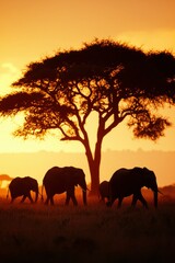 Fototapeta premium Elephants roam savanna beneath acacia tree at sunset