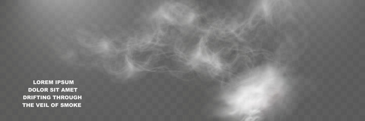 Realistic smoke effect, transparent fog overlay, wispy vapor texture, soft mist background, swirling haze.
