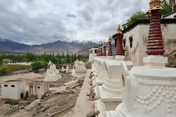 インド　ラダック　ティクセ　