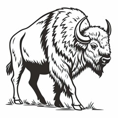 Buffalo illustration walking on grass