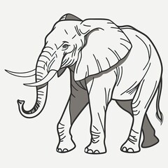 Fototapeta premium Elephant walking in silhouette against light background