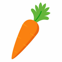 carrot vector illustration isolated with white