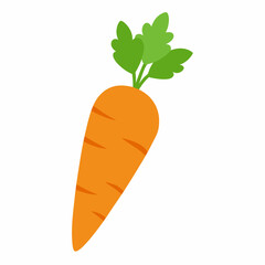 carrot vector illustration on white background
