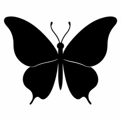 silhouette of butterfly on white background