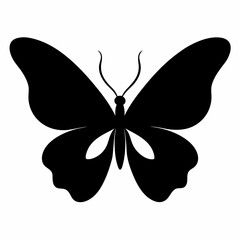 butterfly vector silhouiette isolated on a white background