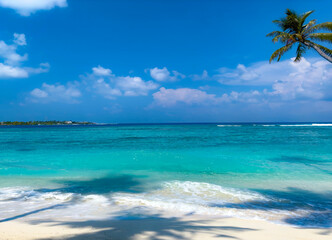 Abstract of the tropical beach with  Aqua waves and coconut palm shadow on blue background.