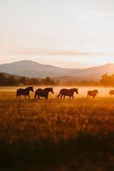 Horses roam misty pasture at sunrise with mountain backdrop