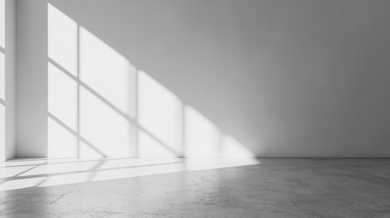 a minimalist white room with strong natural light casting distinct shadows