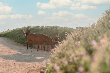 Young woman leading horse on countryside path