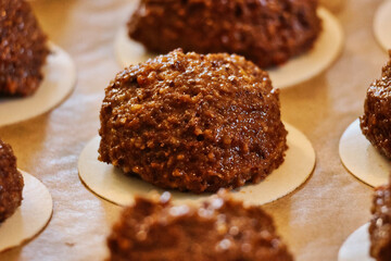 gingerbread dough with chocolate and nuts  on wafer right before baking making the mouth water close-up 