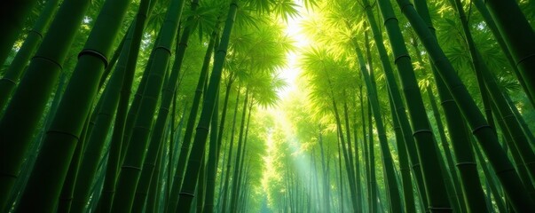 Fototapeta premium Dense bamboo grove, sunlight filtering through leaves, plantation, stems, vertical