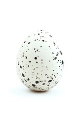 pristine single chicken egg isolated on a clean white backdrop  
