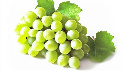 Obraz premium Harvesting fresh green grapes vineyard food photography bright environment close-up healthy living