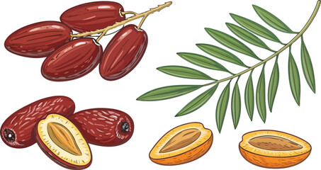 Some Dates with dates slice in Isolated background Illustration vector design