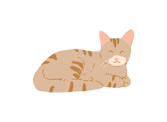 Illustration of an Watercolor Cute Cat