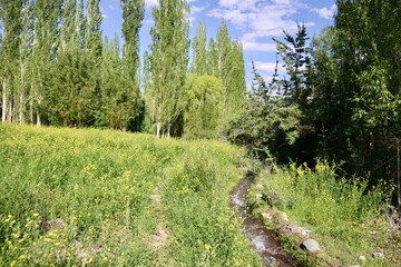 インド　ラダックの山中