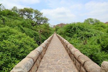 インド　ニューデリー　トゥルガーバード　公園