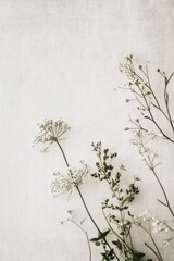 Minimalist Botanical Art: Delicate White Flowers Against Textured Canvas