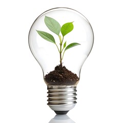 A young plant grows inside a lightbulb, symbolizing innovative ideas.