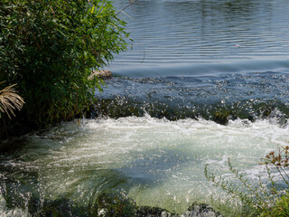 大阪府富田林市を流れる石川の魚道