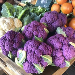 Vibrant Purple and White Cauliflowers at Farmers Market