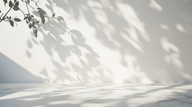 A simple, light background with soft leaf shadows on a pale wall and marble floor. Perfect for presentations.
